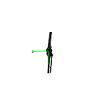 PatellaAnt.png