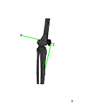 PatellaLat.png