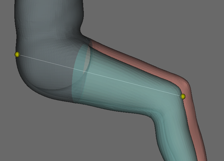 scalconstraint_segment.png